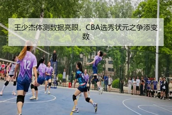 wang-shao-jie-ti-ce-shu-ju-liang-yan-xuan-xiu-zhuang-yuan-zhi-zheng-tian-bian-shu-3-527.jpg